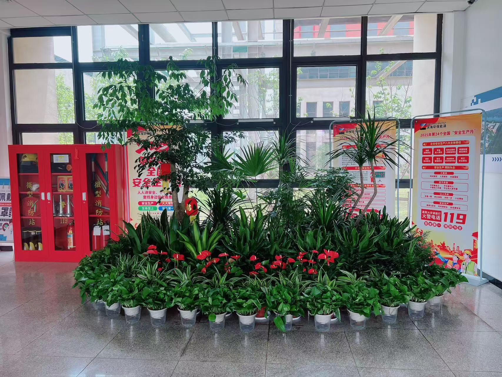 揭秘宁波花木租赁方案，打造专属绿色天地